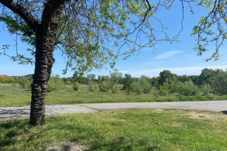 Loomis Country Charmer Single Story Cottage Pet Friendly מראה חיצוני תמונה